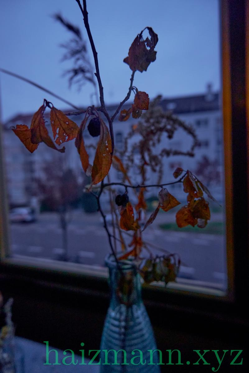 _DSF8581_Bearbeitet_srgb.jpg