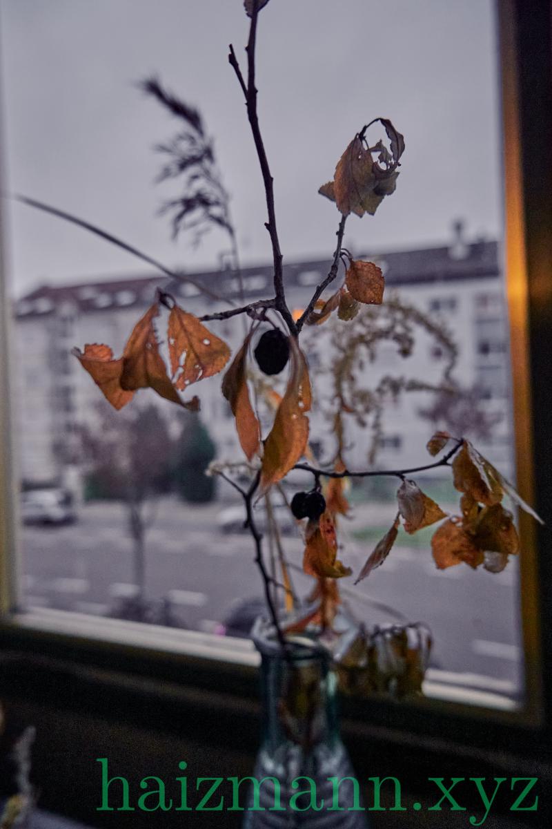 _DSF8582_Bearbeitet_srgb.jpg