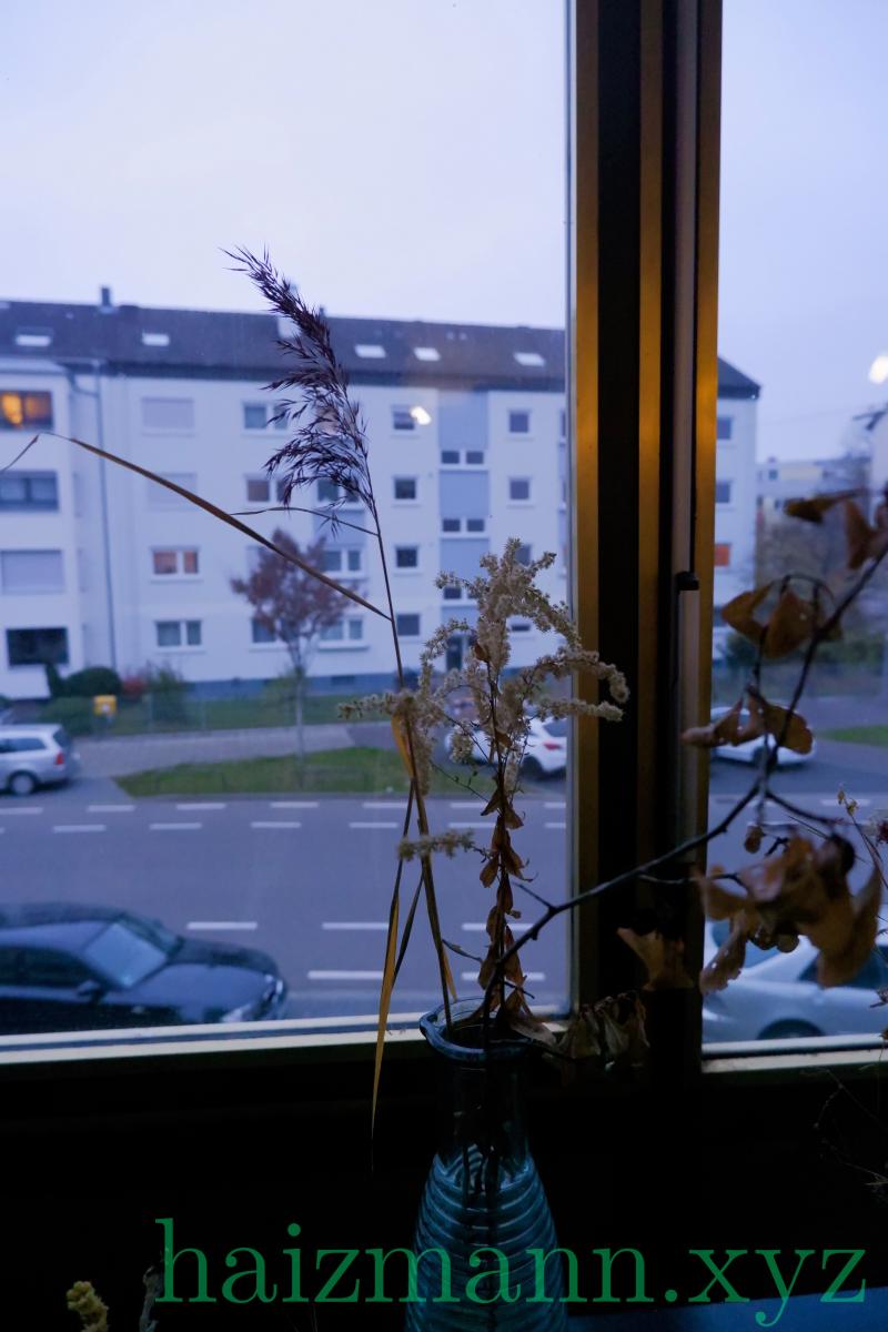 _DSF8583_Bearbeitet_srgb.jpg